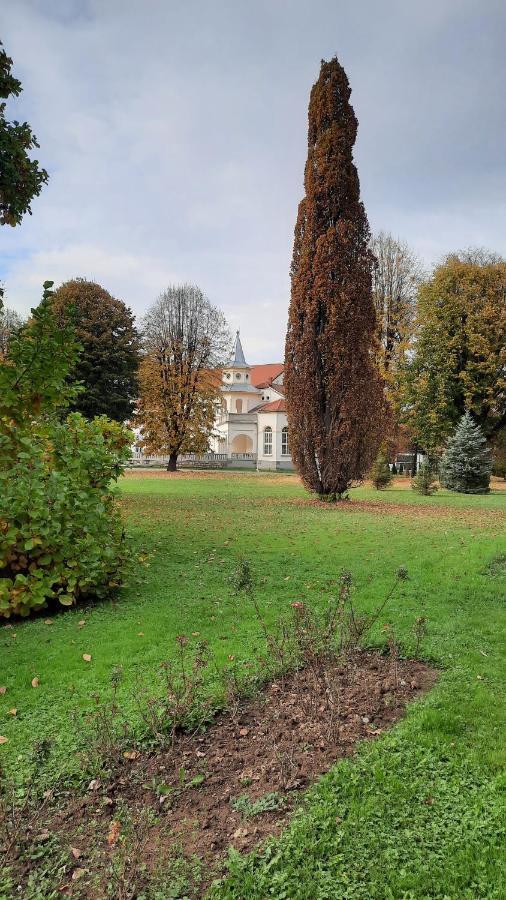 Apartman Mila, Banja Koviljača Exterior foto